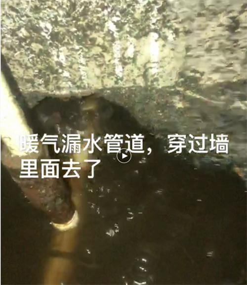 精準(zhǔn)檢測(cè)漏水、滲水：客廳、廚房、衛(wèi)生間。。。(圖4)